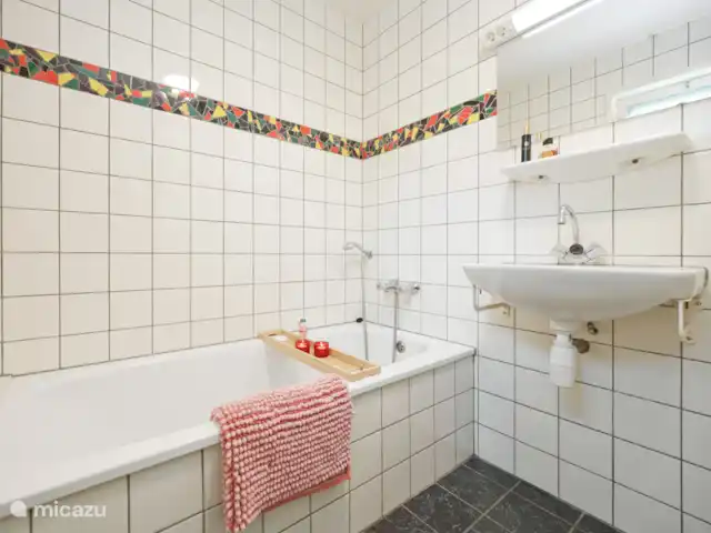 Badkamer met ligbad, separate douche en wastafel.